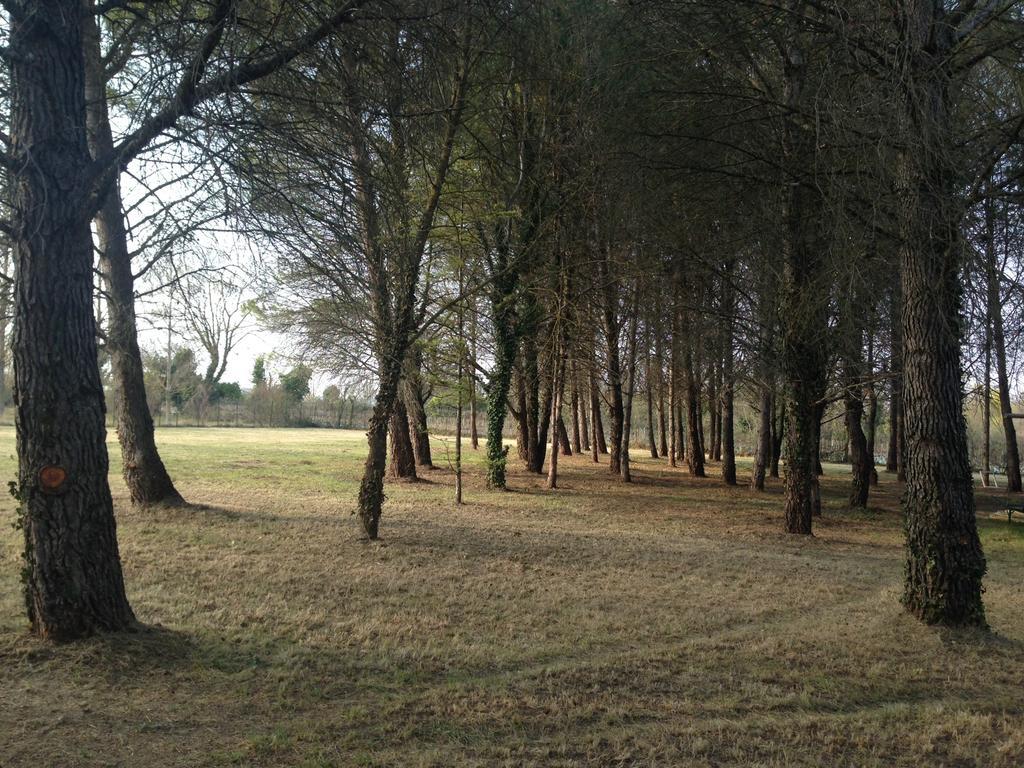 Le Mas De Trevouse Saint-Saturnin-les-Avignon ภายนอก รูปภาพ