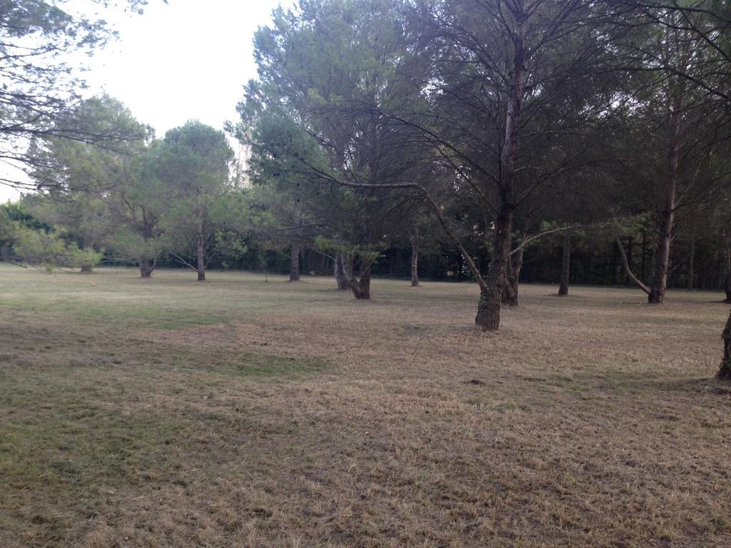 Le Mas De Trevouse Saint-Saturnin-les-Avignon ภายนอก รูปภาพ