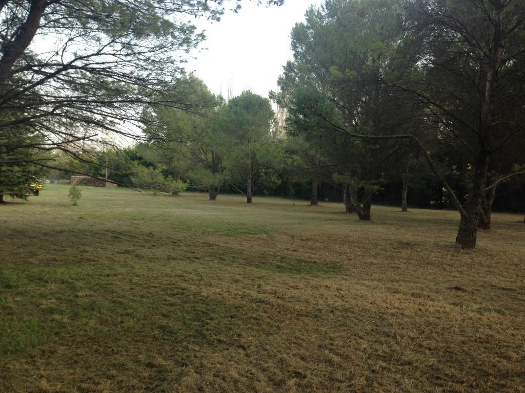 Le Mas De Trevouse Saint-Saturnin-les-Avignon ภายนอก รูปภาพ