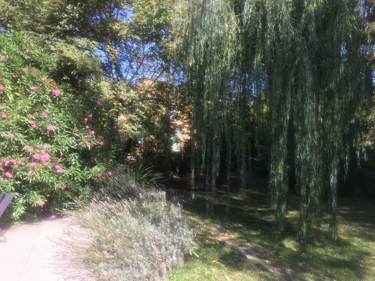 Le Mas De Trevouse Saint-Saturnin-les-Avignon ภายนอก รูปภาพ